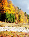 罗马尼亚的秋天